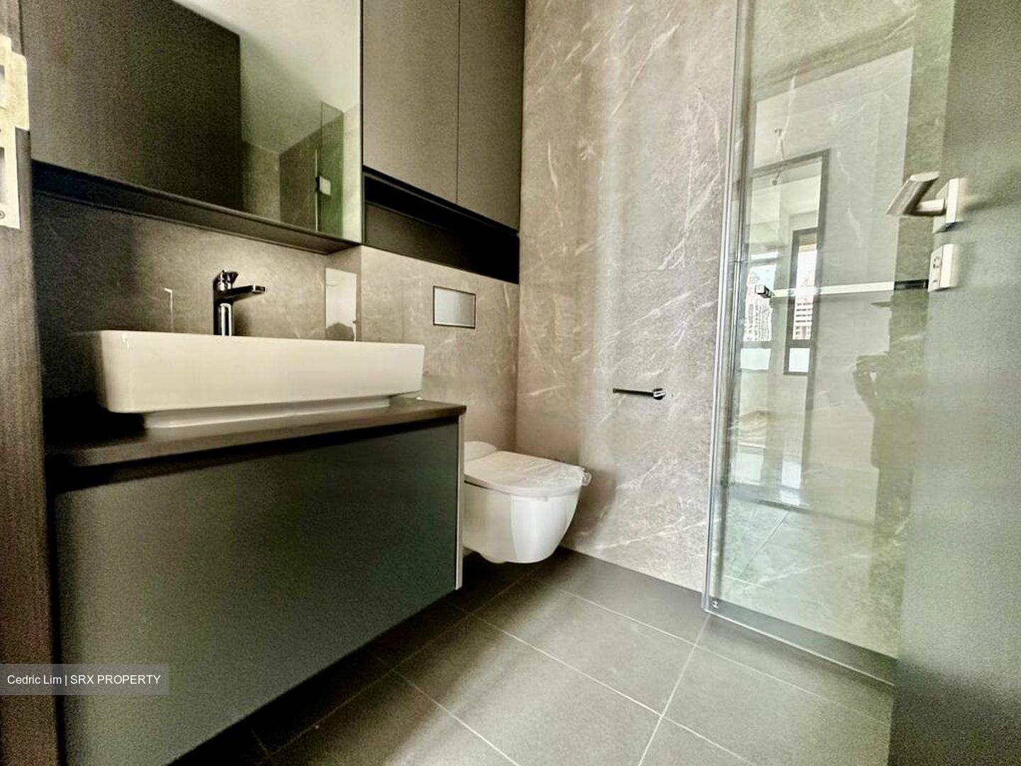 Irwell Hill Residences (D9), Apartment #466760351